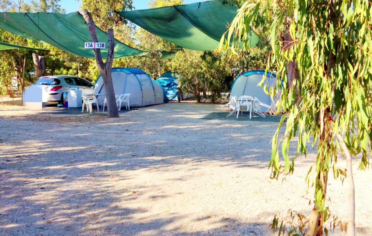 Hotel Camping La Naranja Gandía Exterior foto